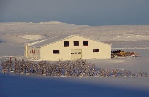 Hvammstangi House | Brekkulækur Guesthouse