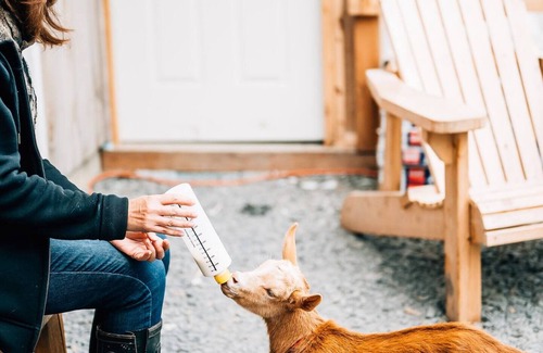 Monson Cabin | Brewery Farm Retreat : Stephen King