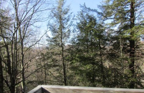 Sugar Mountain Apartment | Briarcliff C11 Condo