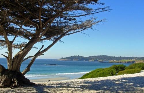 Northwest Carmel Hotel | Briarwood Inn