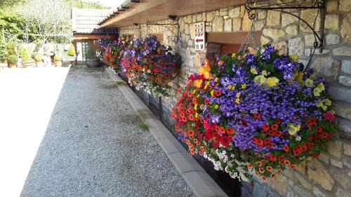 Barrow Gurney House | Bridge Farm Guesthouse rooms