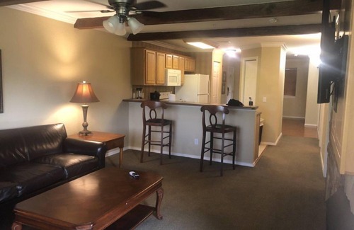 Branson Hotel | Bright 1BR Oasis at Great Rock Resort