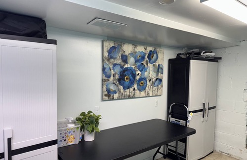 Ypsilanti Apartment | Bright And Newly Remodeled Apartment Near Emu 1 2 Bedroom Apts