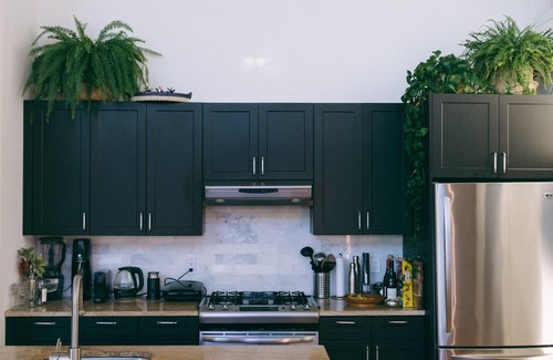 Williamsburg Apartment | Bright and Sunny Loft in Williamsburg