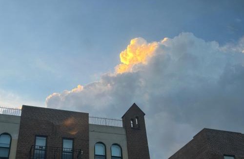 Brooklyn Apartment | Bright Artist 2 Bedroom - One block from Prospect Park - Across from the train