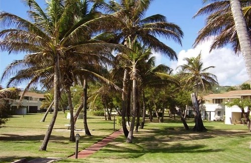 Frigate Bay Condo | Bright, Breezy Condo on the Palmy Shore