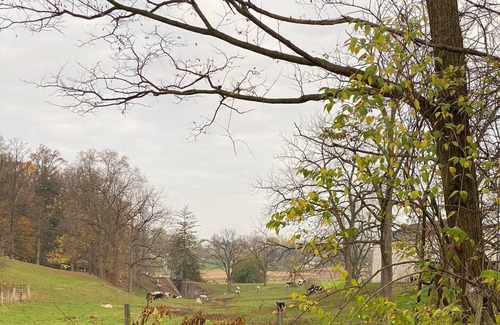 Akron House | Bright & Cozy - Country Townhome - 5 Star Haven