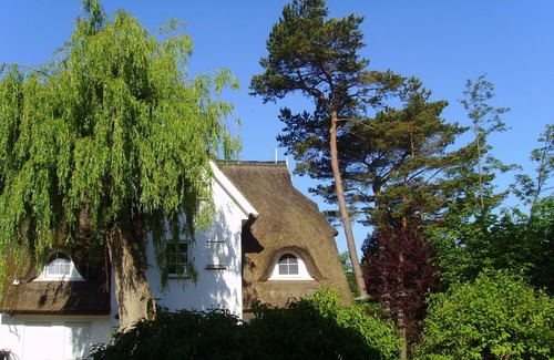 Zingst Apartment | Bright, friendly first floor apartment with terrace and access to the garden