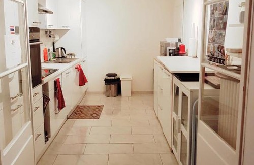 James-Fazy Apartment | Bright Geneva downtown apartment