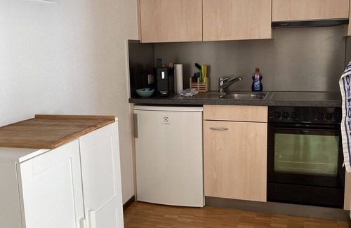 Hettenschwil Apartment | Bright large 1 room apartment with balcony