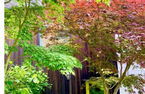 Harrison/Denny-Blaine House | Bright Madison Valley Guest House