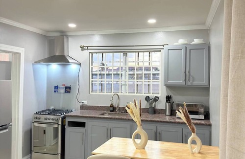 Georgetown Apartment | Bright, Modern and convenient Apartment#3