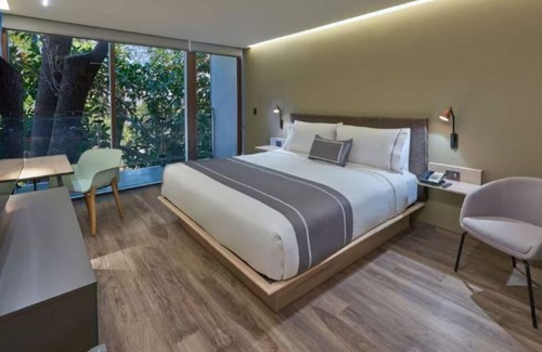 Providencia Hotel | Bright & Modern Hotel Room in Guadalajara – Perfect Central Location