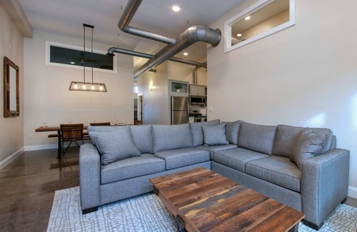 Roanoke Apartment | Bright modern loft for adventurers