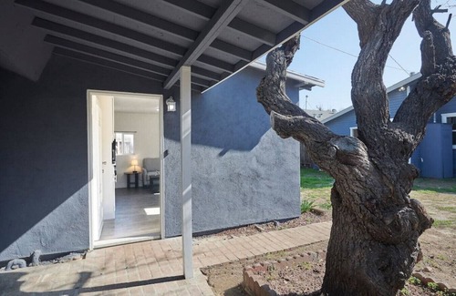 Raisin House | Bright & New Back House KING Tower District