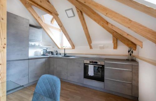 Ljubljana Old Town Apartment | Bright & Spacious Loft In The Heart Of Old Town