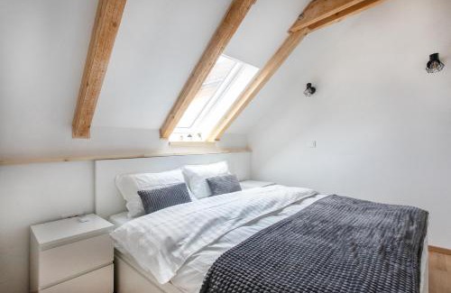 Ljubljana Old Town Apartment | Bright & Spacious Loft In The Heart Of Old Town