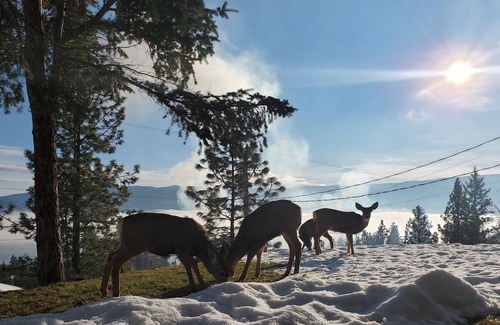 Westshore Estates House | Bright & Spacious Okanagan Lakeview 3 bdrm house.