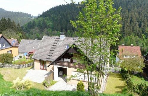 Wildemann Apartment | Brigittes Ferienwohnungen Harz