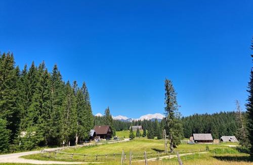 Goreljek House | BRINA Pokljuka