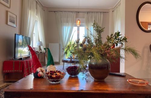 Agii Apostoli Villa | BRINA'S LUXURY APARTMENTS