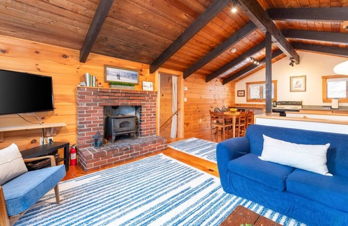 Birchview by the Saco House | Bring the dog-colorful SacoRiver