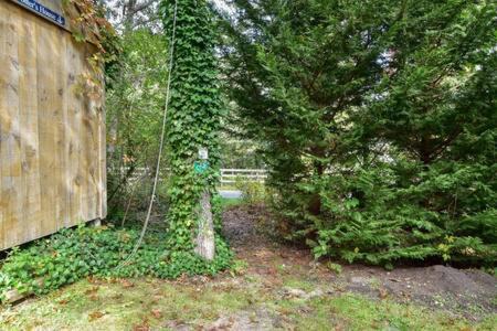 South Chatham House | Bring your pups to Chatham Direct access to the Cape Cod Rail Trail