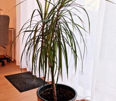 Nordwest Apartment | BRISE Business Apartment nahe Leipziger Messe - Porsche - BMW - DHL - WLAN - Parkplatz - business travelers only