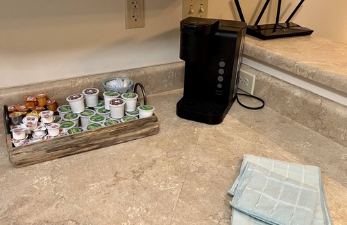 Bluff City Condo | Bristol Raceday Center Condo gated parking