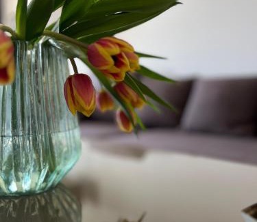 Immenrode Apartment | Brockenblick