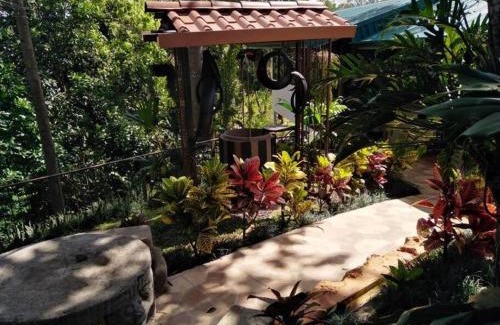 Alajuela Villa | Bromelias