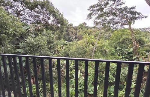 Alajuela Villa | Bromelias