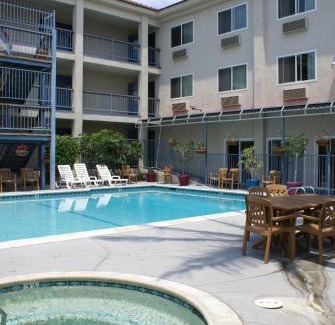 Sherwood Forest and Thistle Development Hotel | Brookhurst Plaza Inn