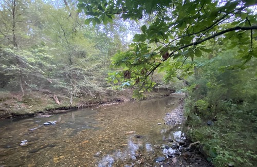 Pine Ridge RV Rental | Brookside RV Retreat Site #2-Big Fork Creek Access-Near Wolf Pen Gap