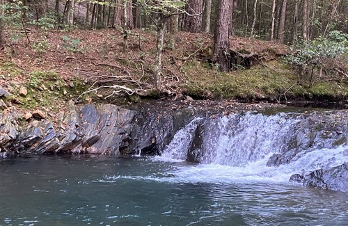 Pine Ridge RV Rental | Brookside RV Retreat Site #4 - Big Fork Creek Access - Close to Wolf Pen Gap