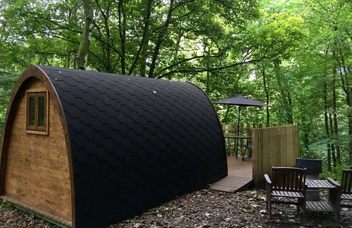 Wing Cabin | Broomhills Farm River Eco Pods