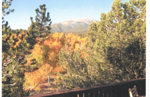 Nathrop House | Brown's Creek Retreat in Mesa Antero