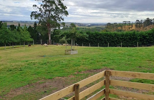 Surat Bay House | Bruce Farm Alpaca Cabin 4 by Tiny Away
