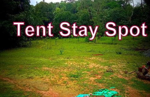 Tirthalli House | Brundavana Garden Restaurant and Homestay