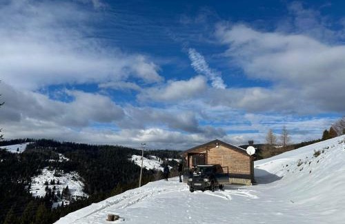 Montenegro Ski Chalet | Brvnara Gradišnjica