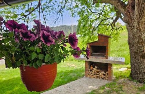 Bajina Basta House | Brvnara ispod stare kruške