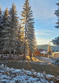 Konjska Reka House | Brvnara Marinković na Sekulićima