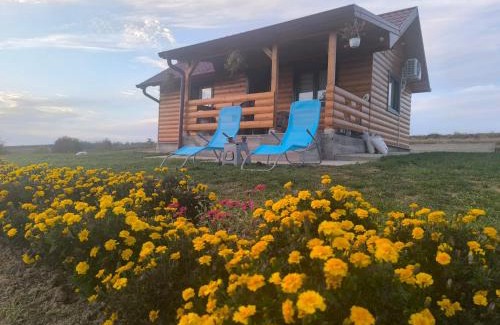 Mladenovac House | Brvnara Staničić