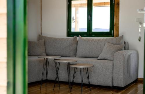 Mladenovac House | Brvnara Staničić