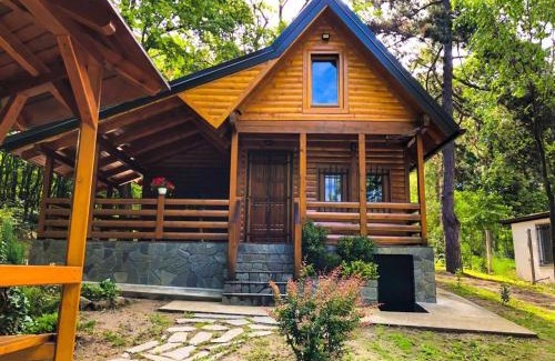 Vrsac Cabin | Brvnara Vršac