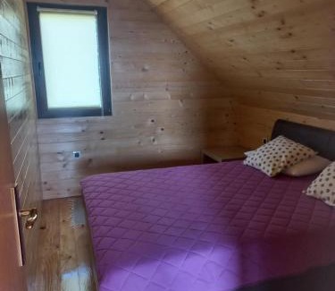 Beserovina House | Brvnare Libero TARA