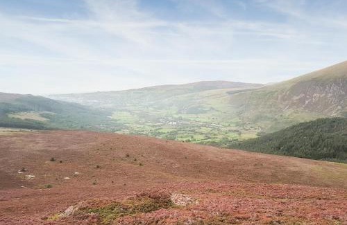 Dinas House | Bryn Derw