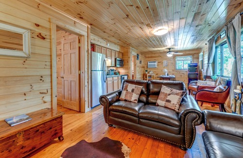 Bryson City Cabin | Bryson City Cabin in Smoky Mtn w/Resort Amenities
