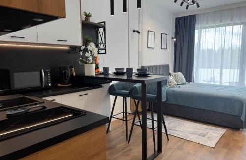 Modrzyca Apartment | Bs BLUE 42