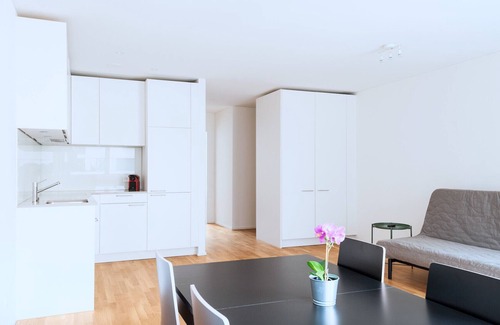 Basel City Centre Apartment | BS Fox II - Messe HITrental Apartment
